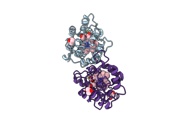 8IAG image