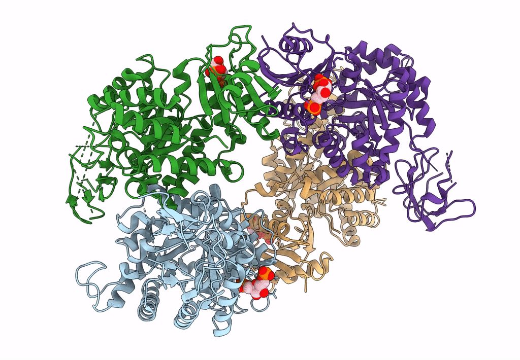 8IAV image