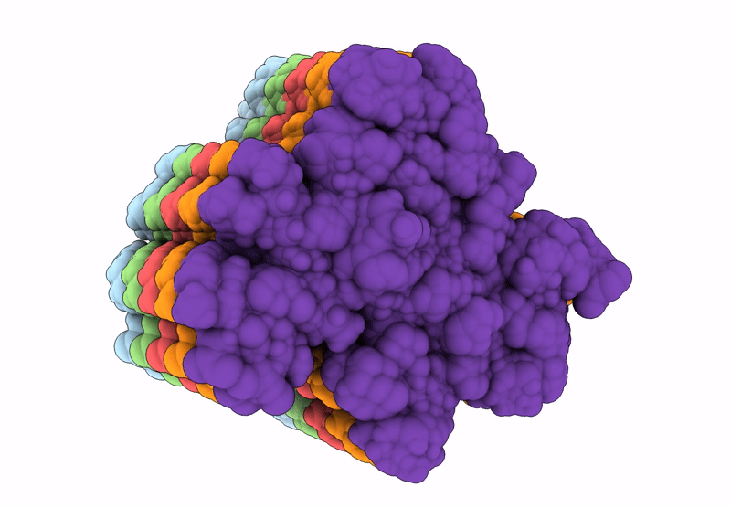 8IB0 image