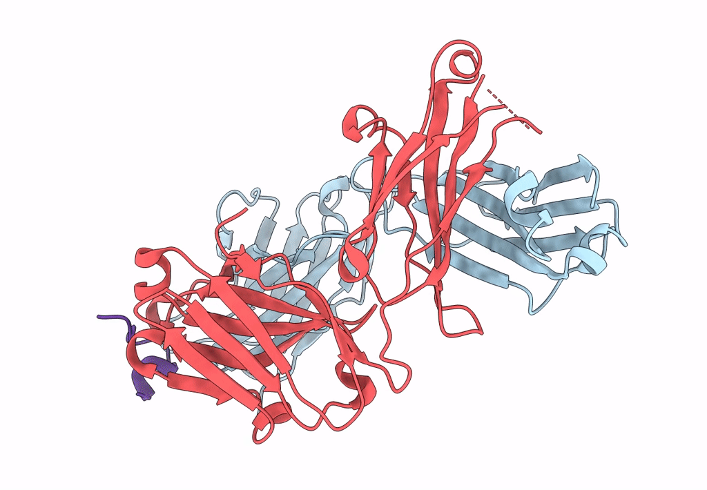 8IB1 image