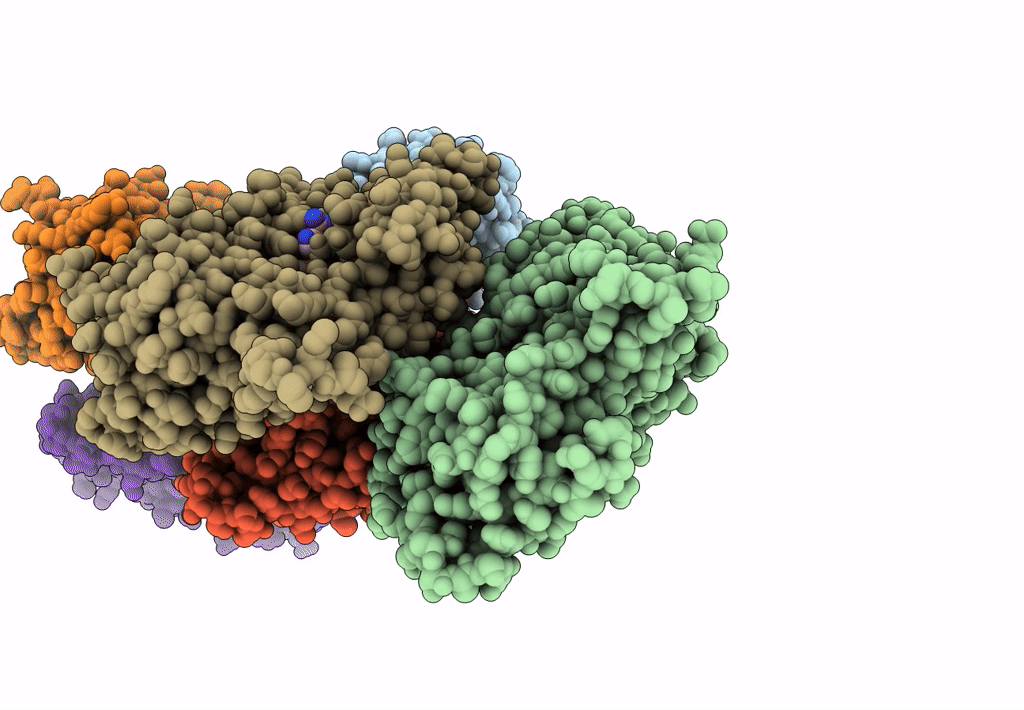 8IB2 image