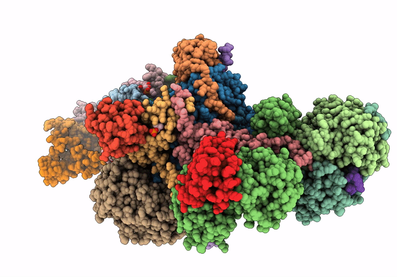 8IB5 image