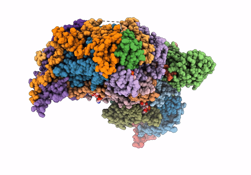 8IB6 image