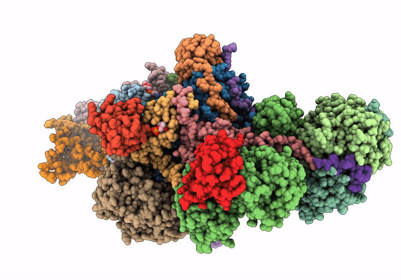 8IBE image