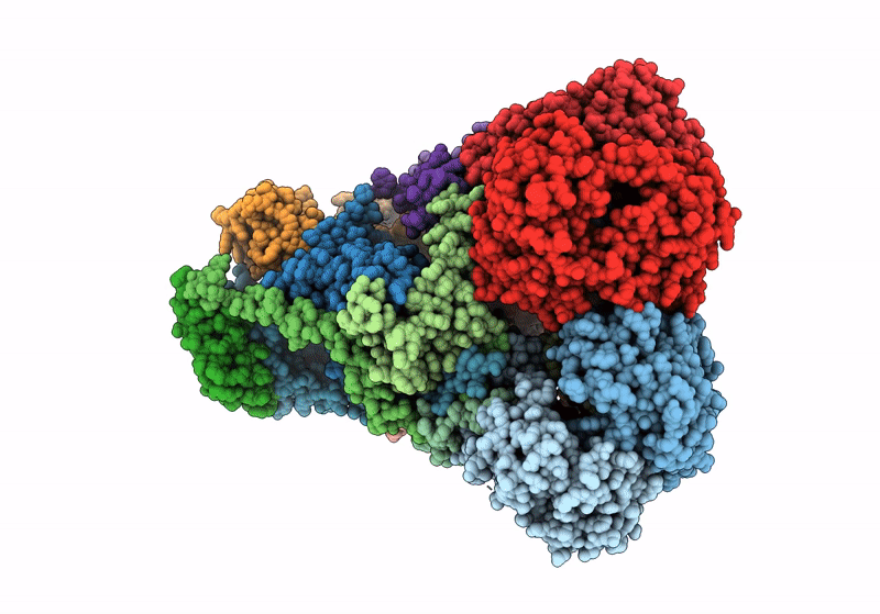8IBG image