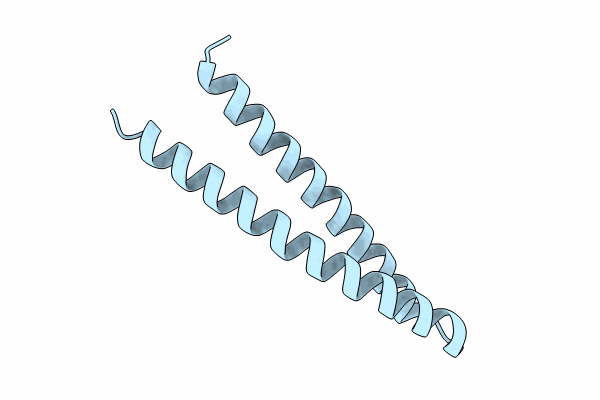 8IBH image