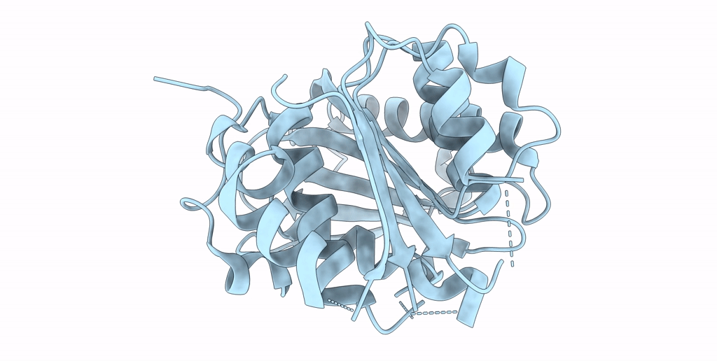 8IBJ image