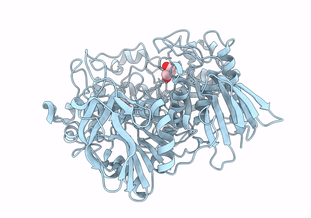8IBR image