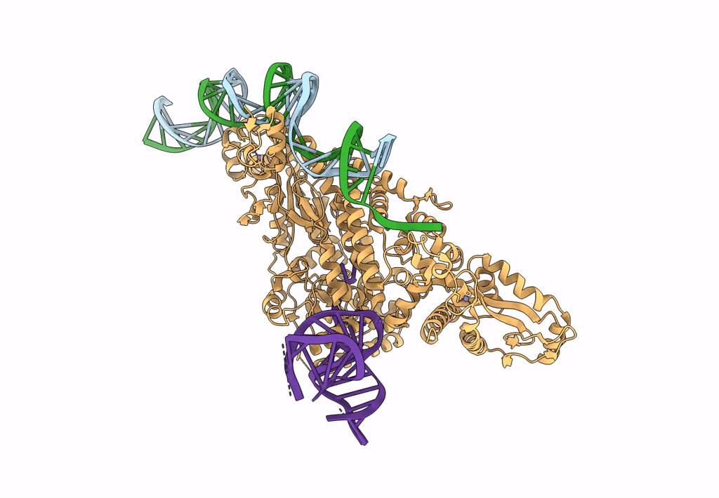 8IBX image