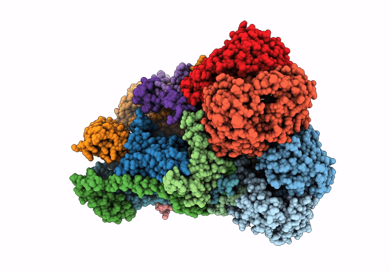 8IC5 image