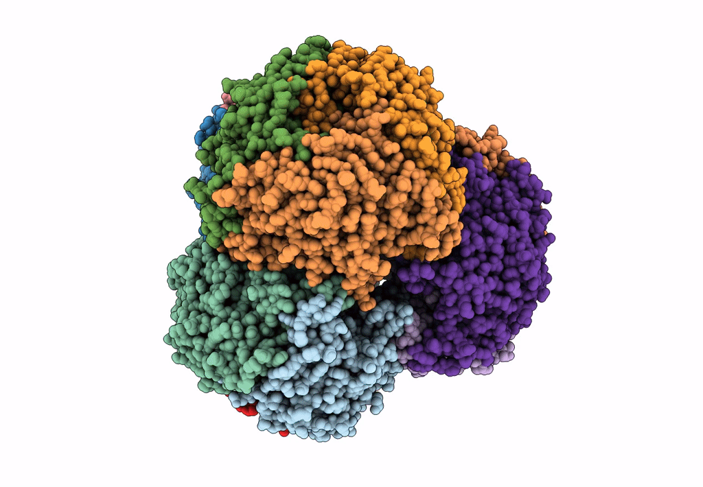 8IC8 image