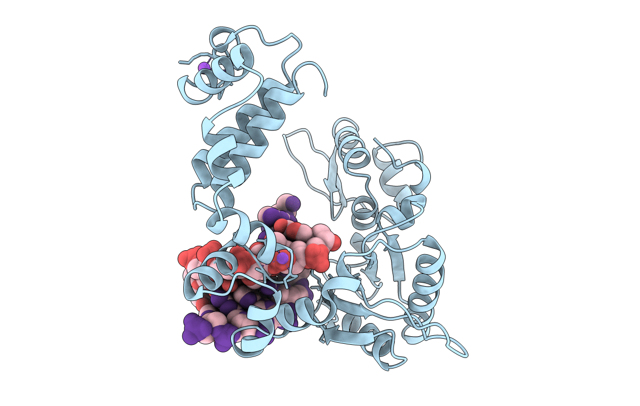 8ICG image