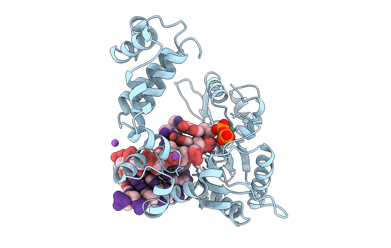 8ICR image