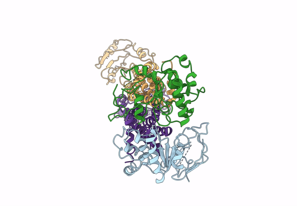 8IDB image