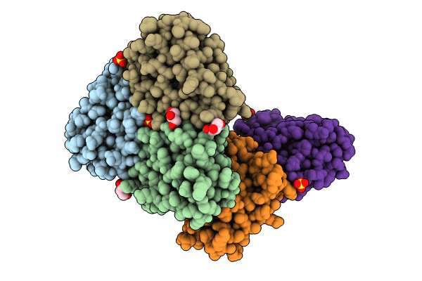8IDU image