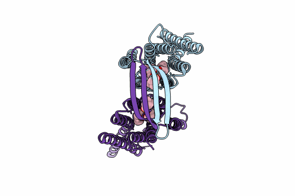 8IEI image