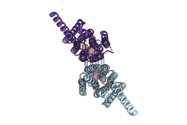 8IEP image