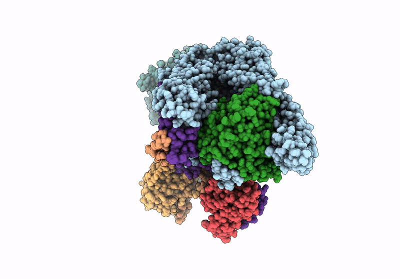 8IFG image