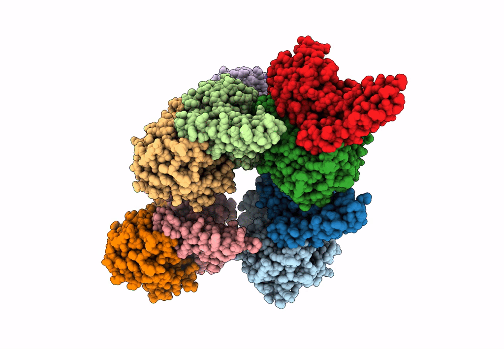 8IFJ image