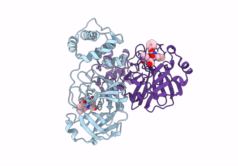 8IGB image