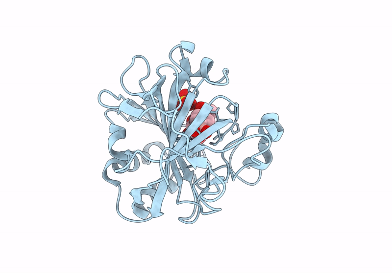8IGF image