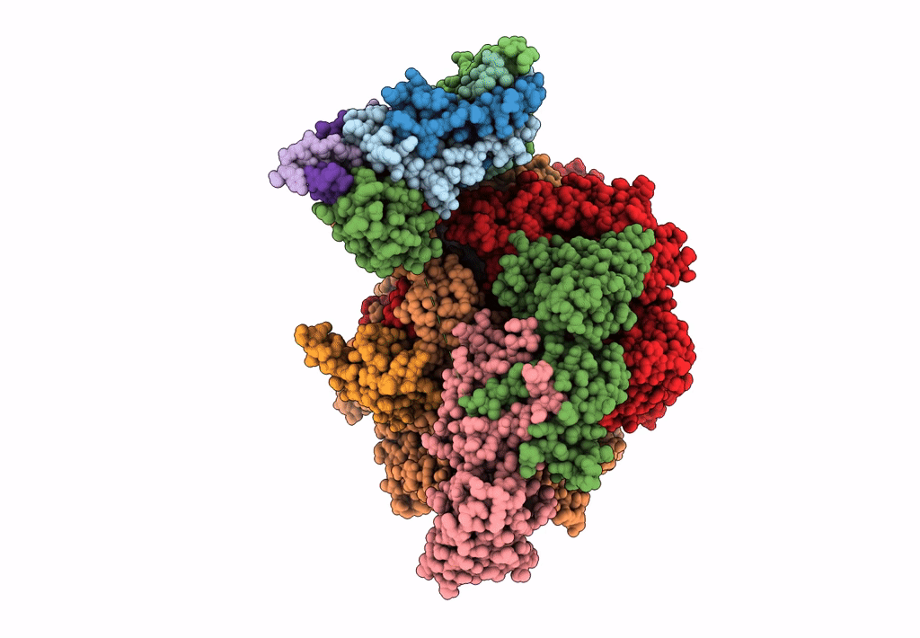8IGR image