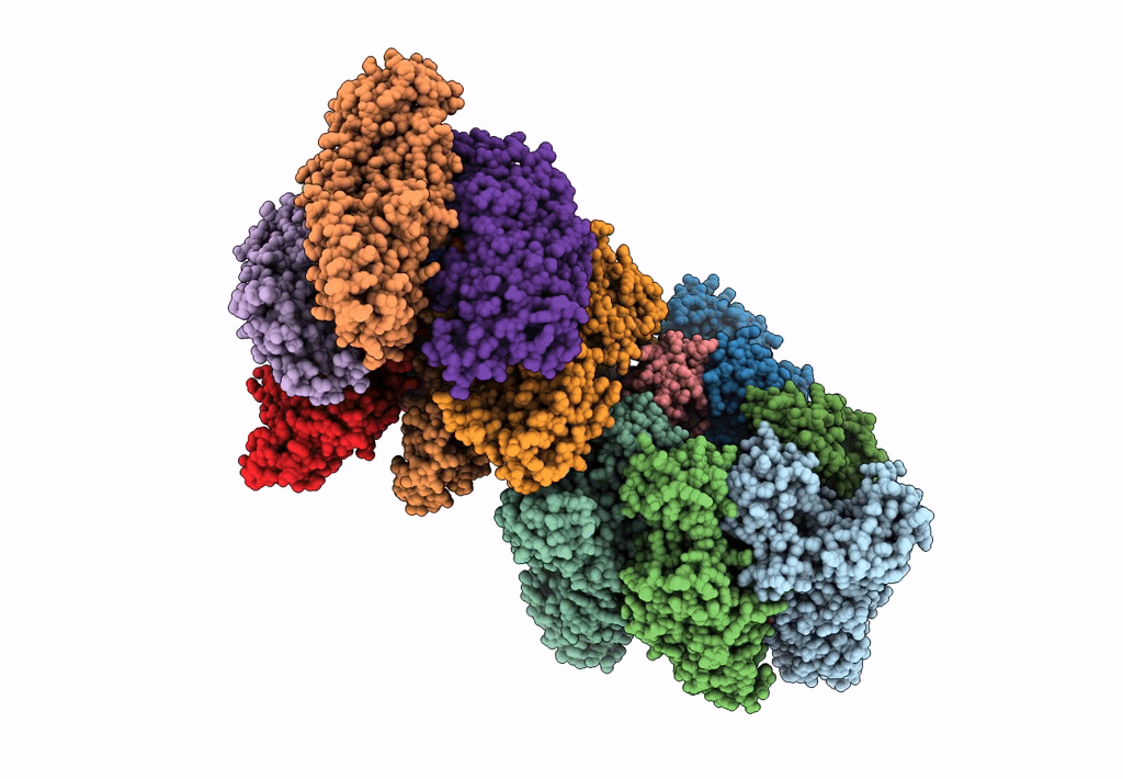 8IGW image