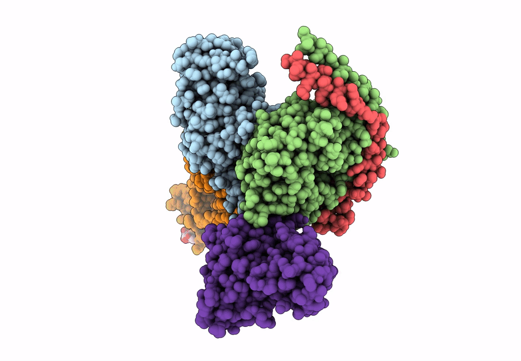 8IHB image