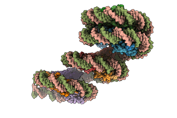 8IHL image
