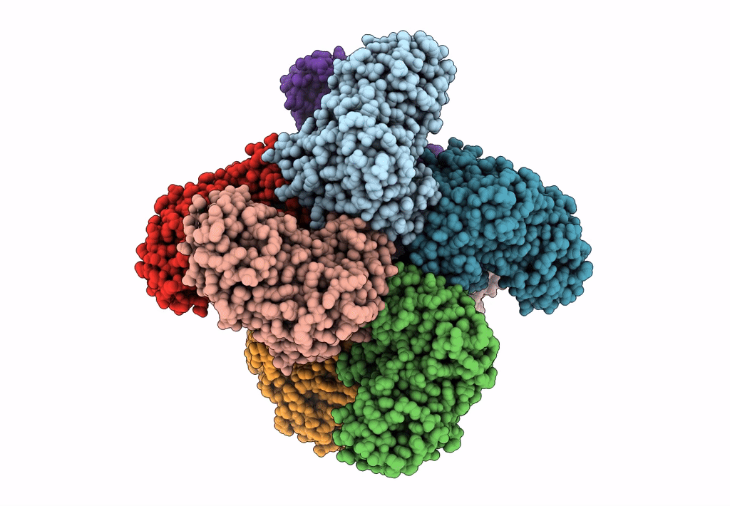 8IHS image