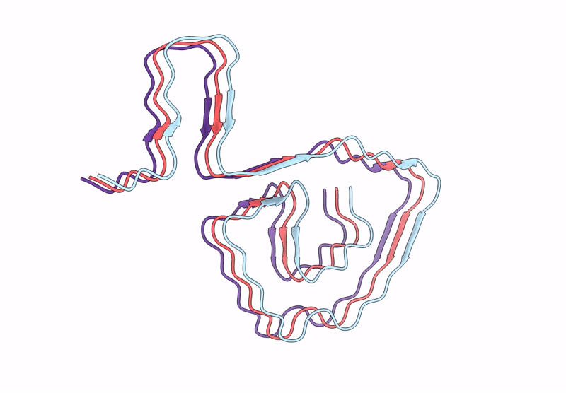 8IHU image