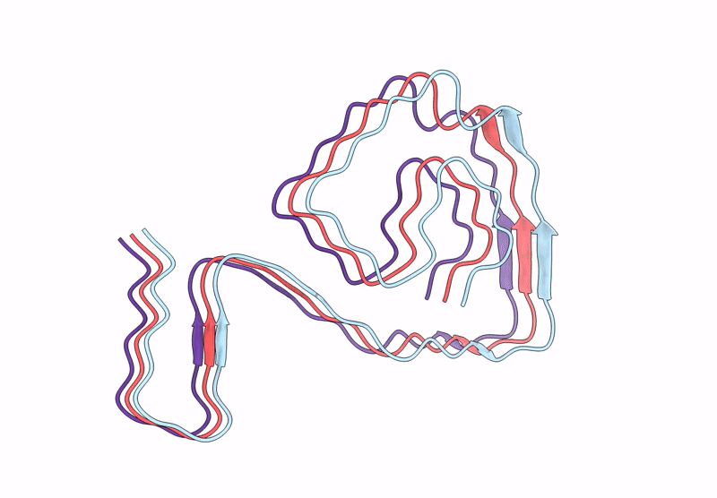 8IHV image