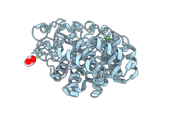 8IHX image