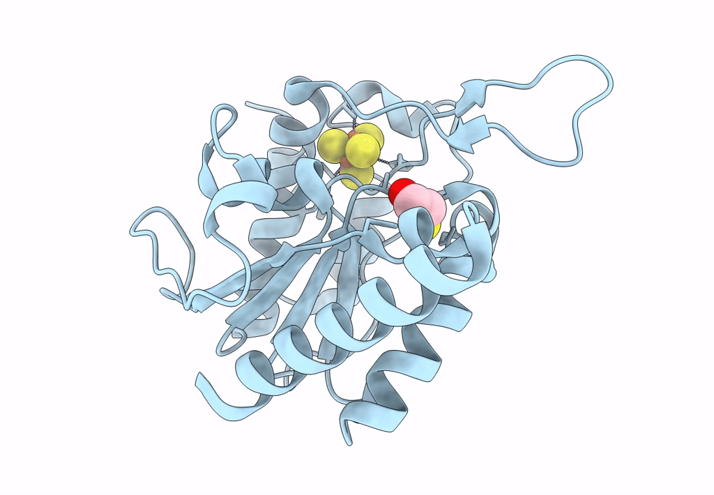 8IIR image