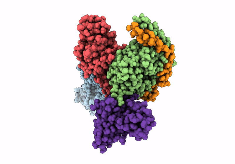 8IJB image
