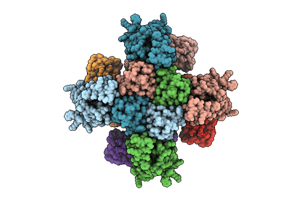 8IJK image