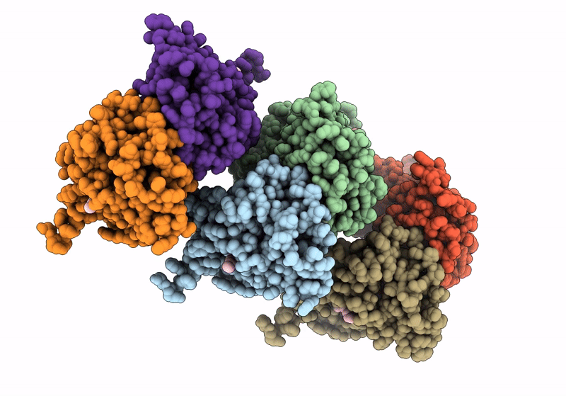 8IJQ image