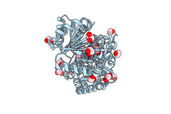 8IJU image