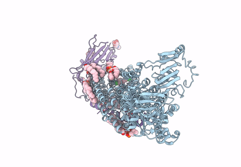 8IJV image