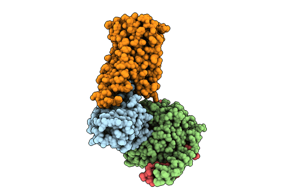 8IKG image