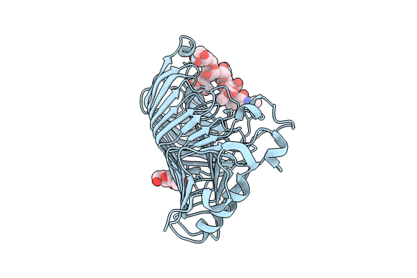 8IKX image