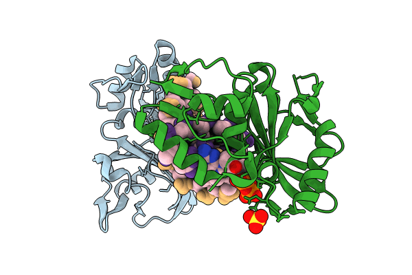 8ILD image