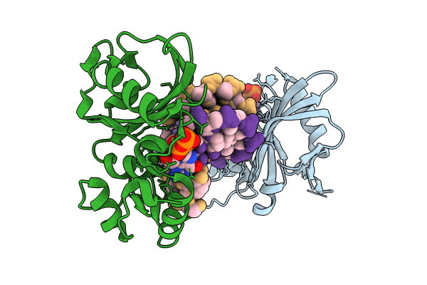 8ILE image