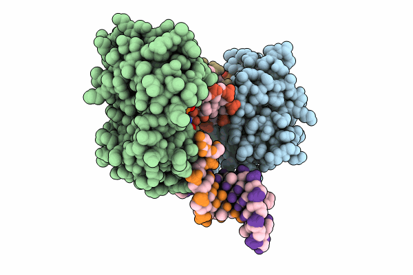 8ILF image