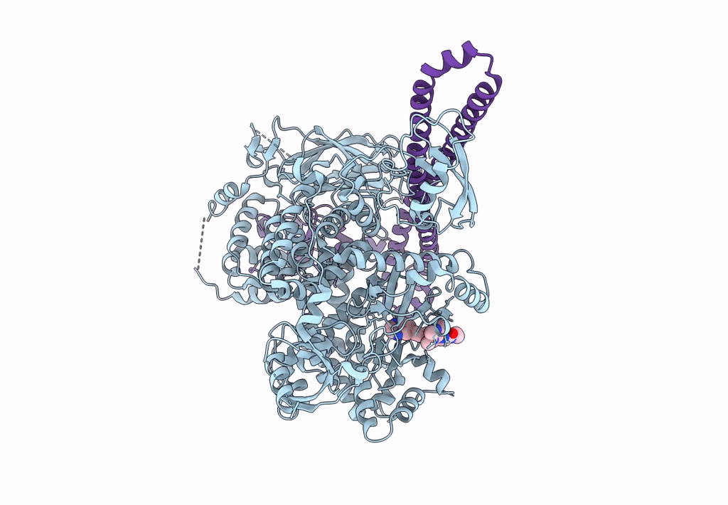 8ILR image