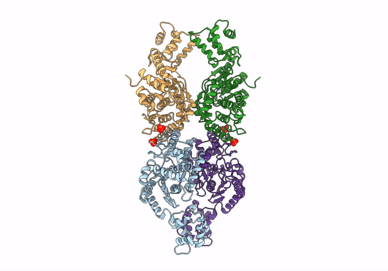 8IMB image