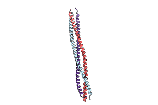 8IMS image
