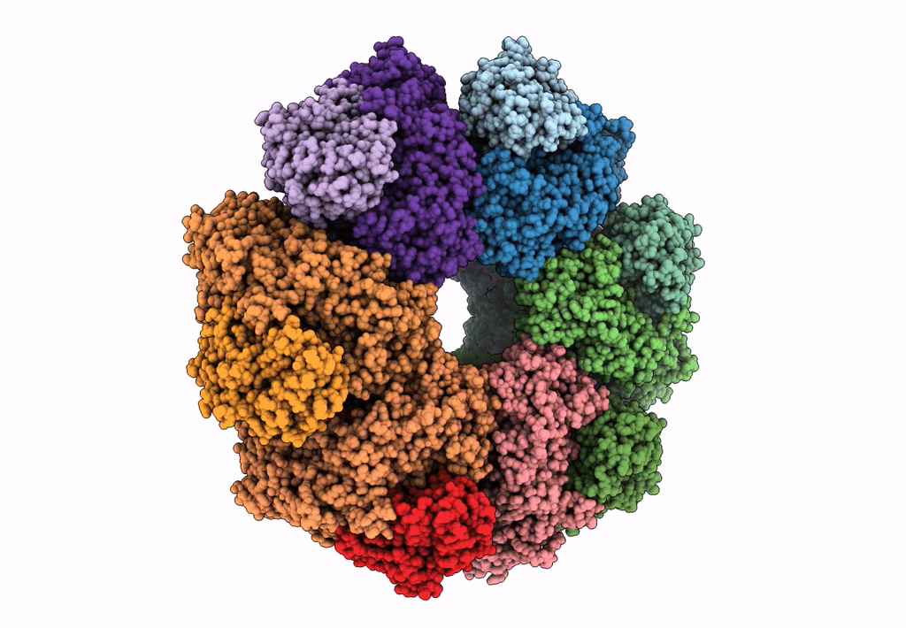 8IOE image