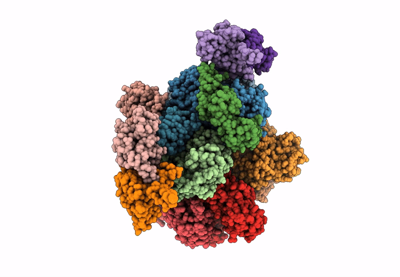 8IOJ image