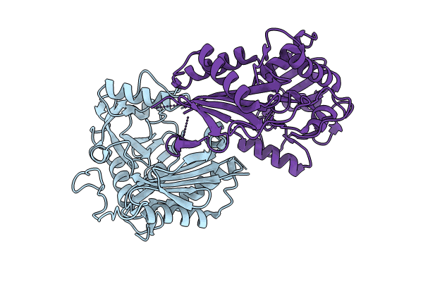 8IOZ image